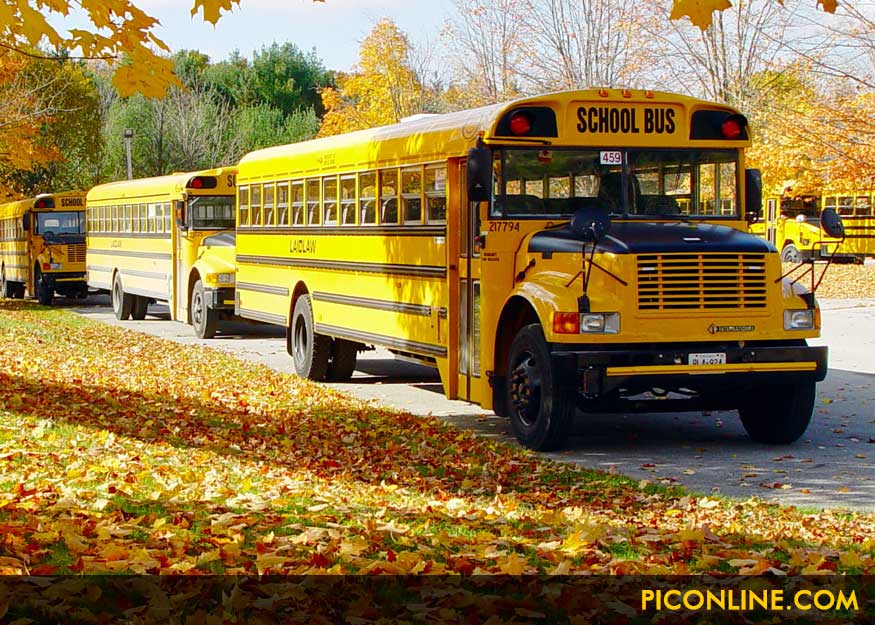 Dallas School Bus Insurance Coverage